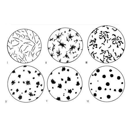 Forms of Graphite in Cast Iron